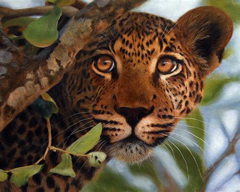 Leopard Painting Print Wildlife Art Painting By Jason Morgan Fine