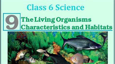 Ncert Class 6 Science Solutions Chapter 9 The Living Organisms