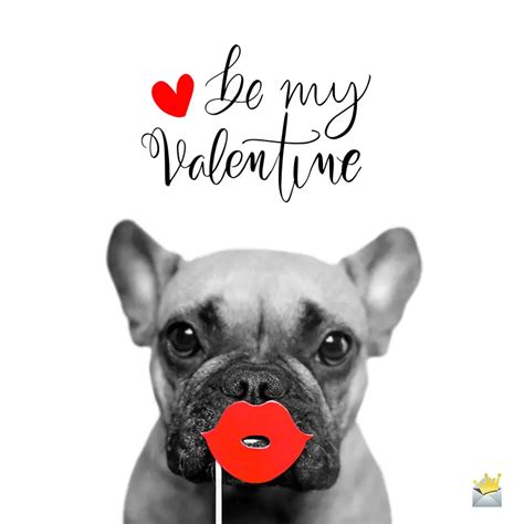 Best 20 Funny Valentines Day Quotes Best Recipes Ideas And Collections