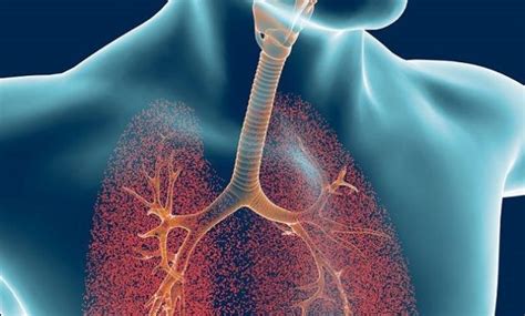 It most commonly occurs in the linings of the lungs or the abdomen. The History of Mesothelioma Stage 1 Refuted | Asbestos Meaning