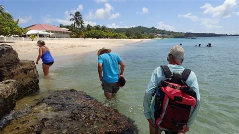 Things We Did Today Whiling Away Time At Grand Anse Beach Grenada
