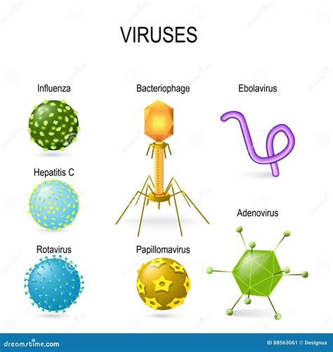 Different Shapes Of Viruses Stock Vector Illustration Of Bacteria