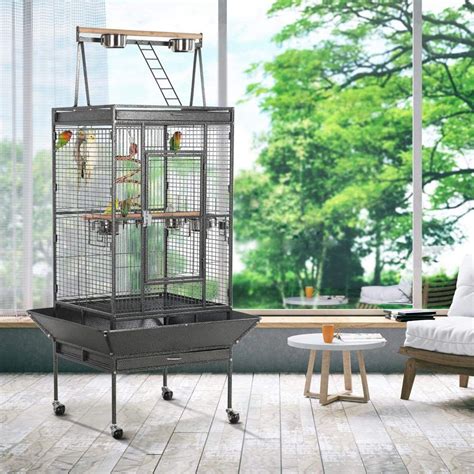 Best Parrot Cages 2022 Buyers Guide Parrot Website