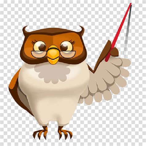 Owl Teacher Education School Owl Cute Transparent Background Png