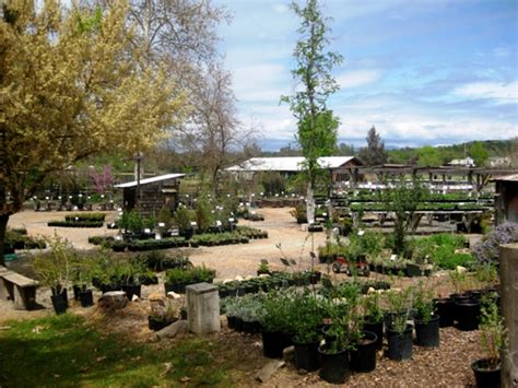 Now hiring | estamos contratando. In Praise Of Intermountain Nursery | Sierra News Online