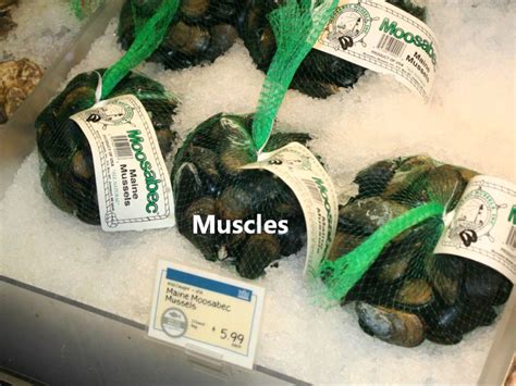 Whole Foods Seafood Counter Youtube
