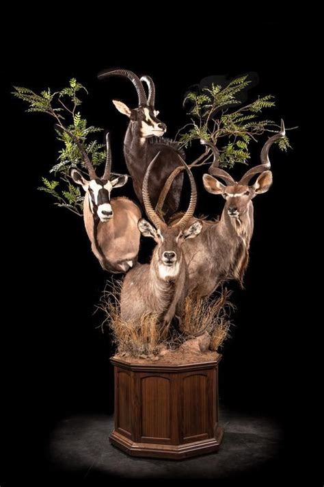 Ideas For The Back Of A Wall Pedestal Deer Mount