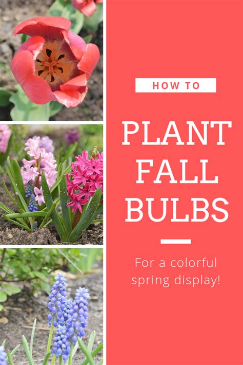 Do You Want To Add Continuous Colorful Blooms To Your Spring Garden