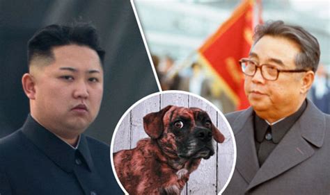 They help us understand how you use our website, personalize content and improve our online marketing. NORTH KOREA: Kim Jong-un's grandfather demanded DOG MEAT ...