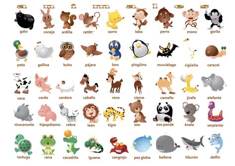 Animales Animais Em Espanhol Nomes De Animais Alfabeto Em Portugues
