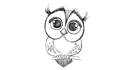 How To Draw An Owl Step By Step Guide How To Draw