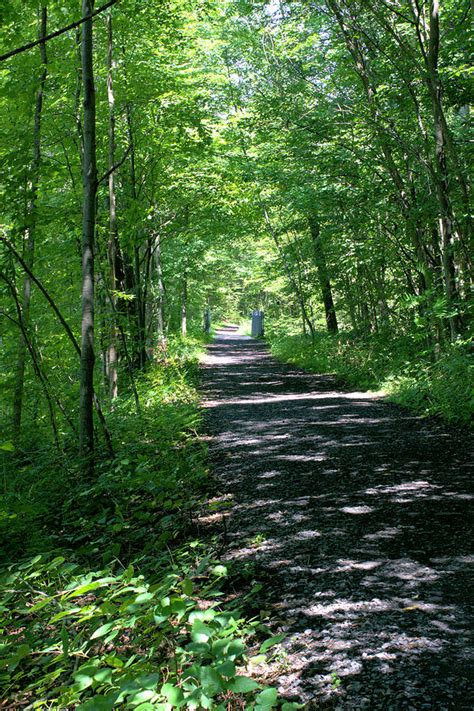 Wallkill Valley Rail Trail Photograph By Robert Mcculloch