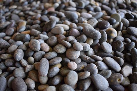 Mexican Pebble Rock Mexican Beach Pebbles River Rock Truckloads And