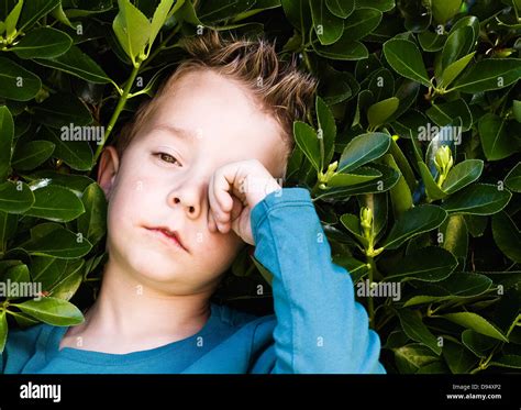 Sleepy Boy Hi Res Stock Photography And Images Alamy