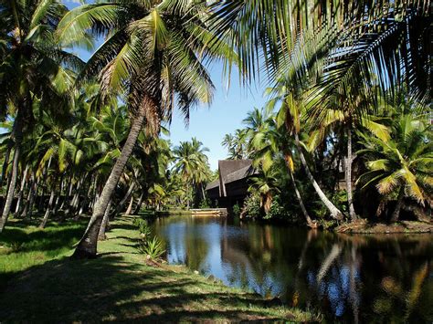 Coco Palms Resort Kauai Restoration