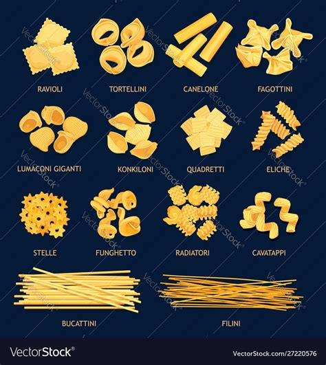 Italian Pasta Types Cuisine Objects Royalty Free Vector