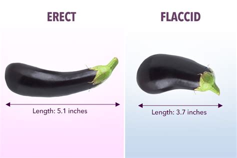 Official Nhs Data Reveals The Average Uk Penis Size And It Might