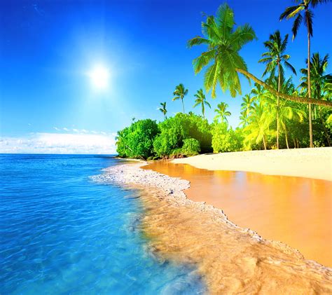 P Descarga Gratis Para So Tropical Hermoso Tropical Playa Paradis Aca Cielo Azul Fondo