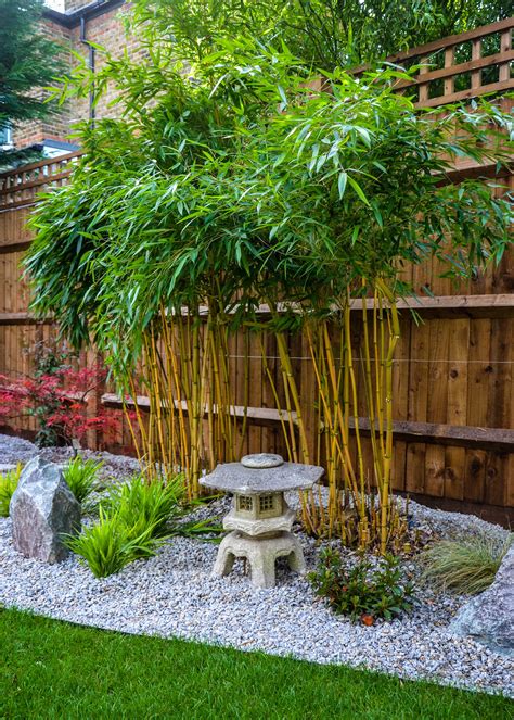 Bamboo Bliss 10 Backyard Bamboo Garden Designs That Will Transport You
