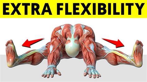 An Image Of A Mans Muscles And The Words Extra Flexibility