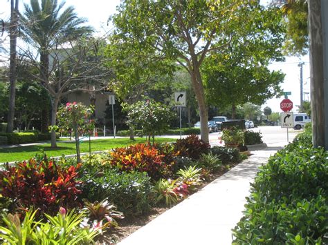 South Florida Landscaping Ideas Pictures Ifas Palm Beach Extension