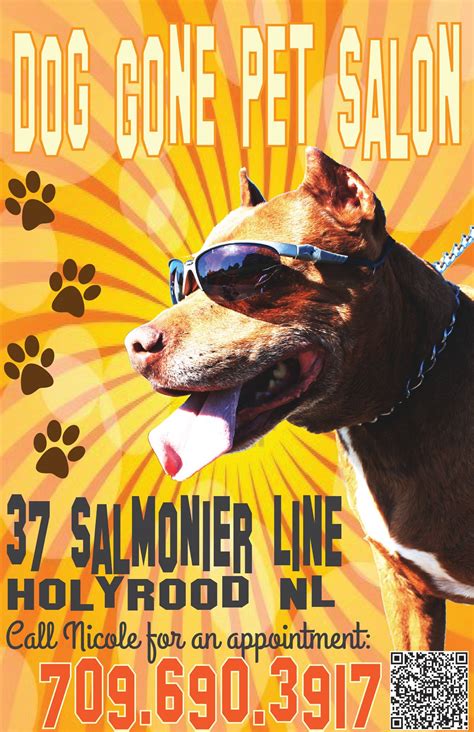 Dog Gone Pet Salon | Holyrood NL