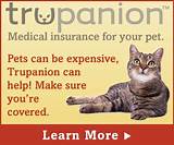 Trupanion Pet Insurance Quote Photos