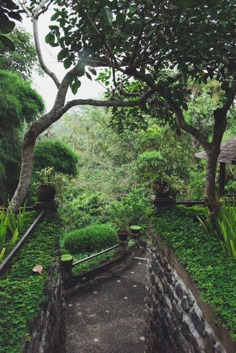 Dm tanpo biso nyanding aku. Paradise in the jungle - Review Villa Awang Awang in Ubud, Bali