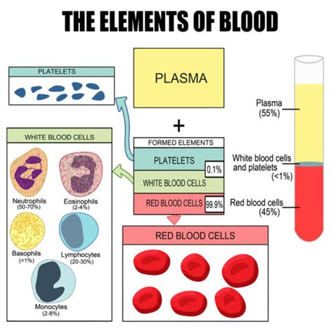 An Overview Of Platelet Rich Plasma Therapy Stemcell Therapy In