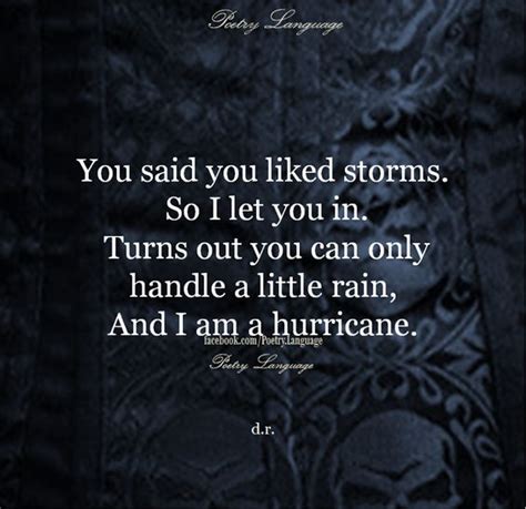 You Said You Like Storms So I Let You In Turns Out You