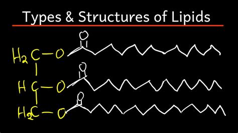 Lipids Types And Structures Explained Youtube