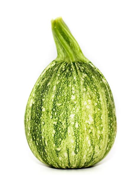 Round Zucchini Isolated Stock Photo Image Of Vegetable 12817144