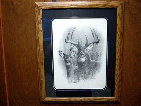 Framed Double Drop Tine Whitetail Deer Picture By Dallen Lambson 185 X