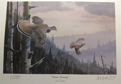grouse country les kouba ruffed grouse upland bird wingshooting bonassa umbellus hunting limited