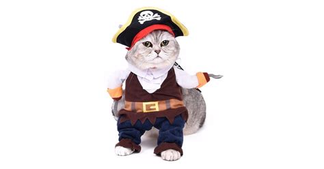 Pirate Cat Costume Best Costumes For Cats Popsugar Uk Pets Photo 23