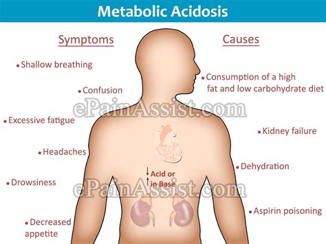 Metabolic Acidosis Causes Symptoms Diagnosis Treatment Prognosis Prevention