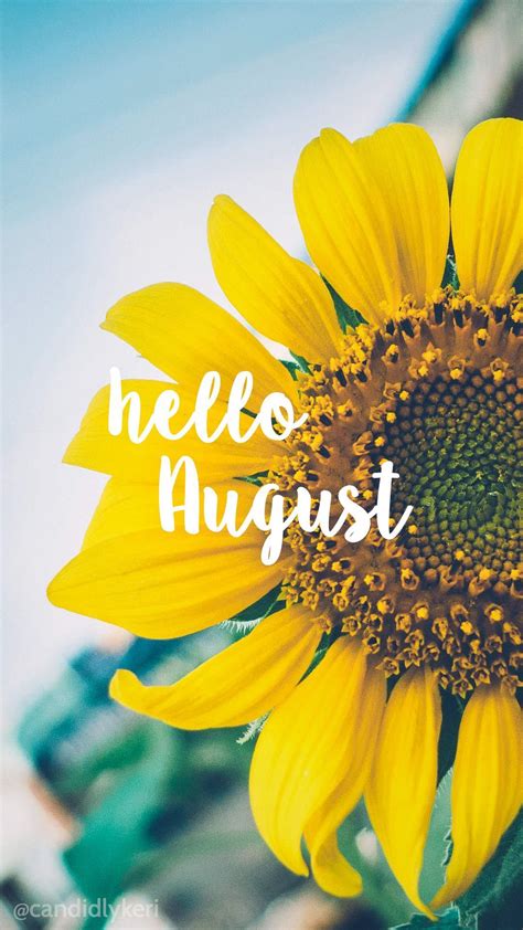 Hello August Sunflowers August Newmonth Findingserenity August