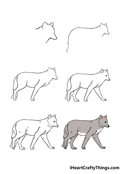 Wolf Drawing How To Draw A Wolf Step By Step