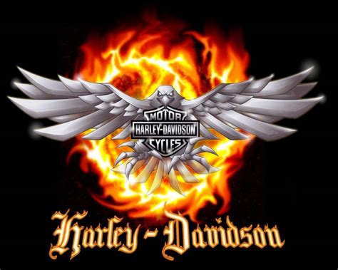 のダメージ Harley Davidson Flame Logo Ss Tee Vintage ハーレーダビッドソン フレイム ロゴ ショートスリーブ Tシャツ 半袖 ヴィンテージ サイズ
