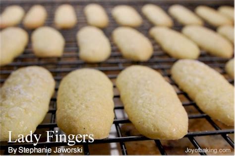 Ladyfingers are a small, delicate sponge cake biscuit used in desserts such as tiramisu. Ladyfingers Recipe - Joyofbaking.com *Video Recipe*