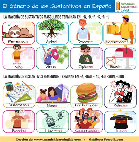 El Género De Los Sustantivos En Español Reglas Y Ejemplos Spanish