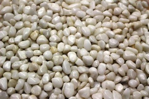 2022 Store Exotic Pebbles Polished Snow White Reptile Terrarium