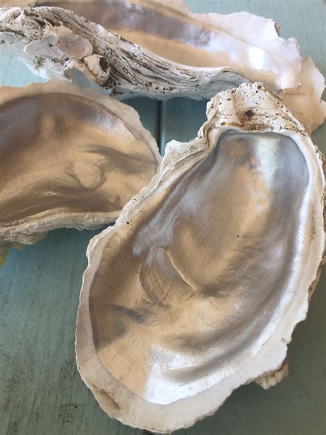 Silver Leaf Oyster Shells Seashell Crafts