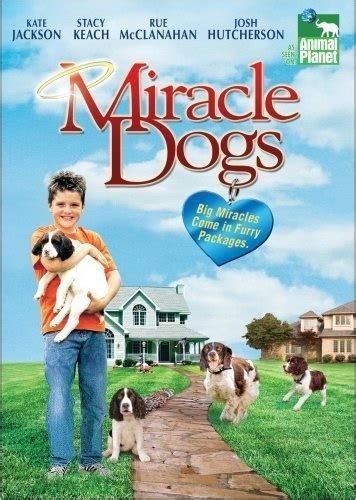 Miracle Dogs 2003 Starring Kate Jackson On Dvd Dvd Lady Classics
