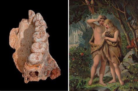 Adam And Eve Remains Found Oldest Human Remains Ever In Israel Daily Star