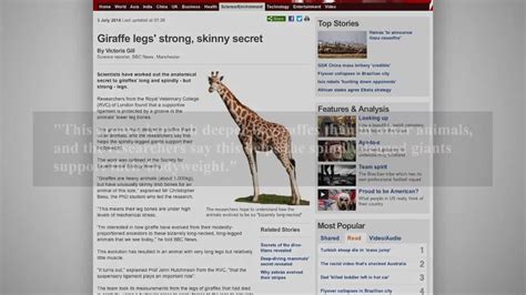 Scientists Uncover Secret Of Giraffes Strong Skinny Legs Video Dailymotion