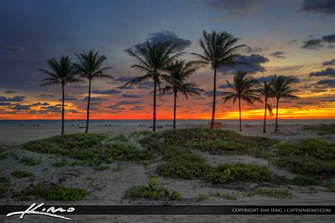 Coconut Tree Sunrise At Singer Island Beach Royal Stock Photo