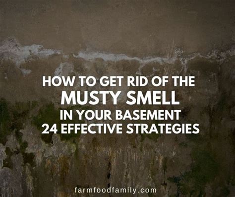 How To Get Rid Of The Musty Smell In Your Basement 24 Effective Ways