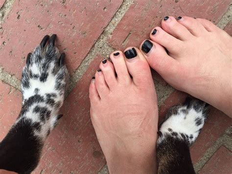 Nov 17, 2020 · however, your toenails actually grow at a slower pace—about 2 millimeters per month, according lobkova. My Ongoing Battle With My Dog's Too-Long Nails