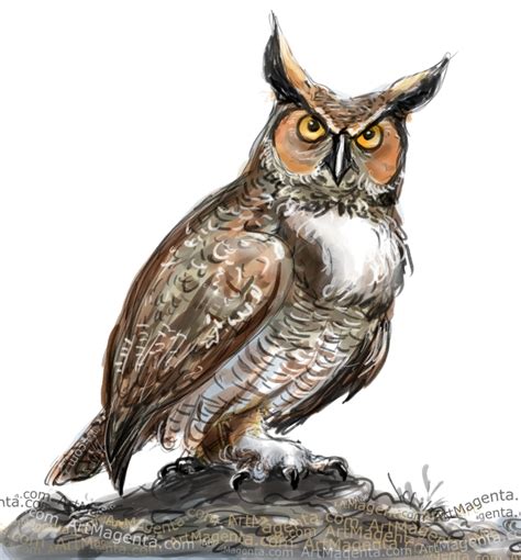 Great Horned Owl Illustration